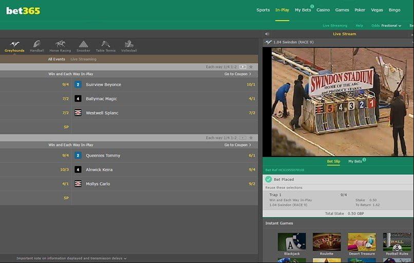 live greyhounds stream at bet365