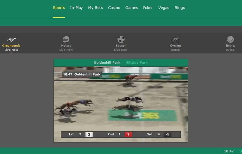 virtual greyhound betting with bet365