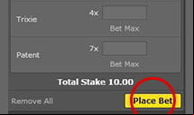 Confirming Your Selections in the Bet Slip