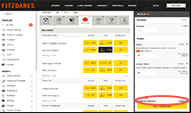 Enter your stake and confirm your bet on Fitzdares Sports.
