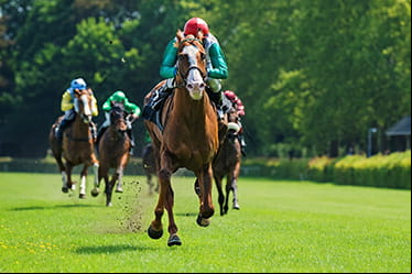 Horses in a neck and neck race.