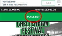 QuinnBet confirm the selection with a red circle around the place bets box