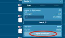 Place Your Bet at YetiBet